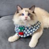 Small Dog Cat Cute Cherry Bibs Scarf Pet Bandana Neckerchief Accessories, Blue