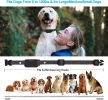 Dog Training Shock Collar w/Remote 1000ft Range for Small Medium  or Large Dogs